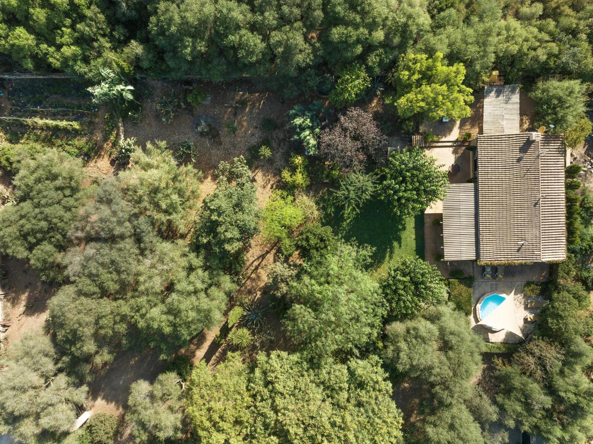 Sa Marjal Villa *
